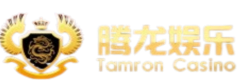 腾龙公司客服经理